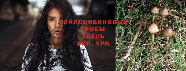 меф Арсеньев