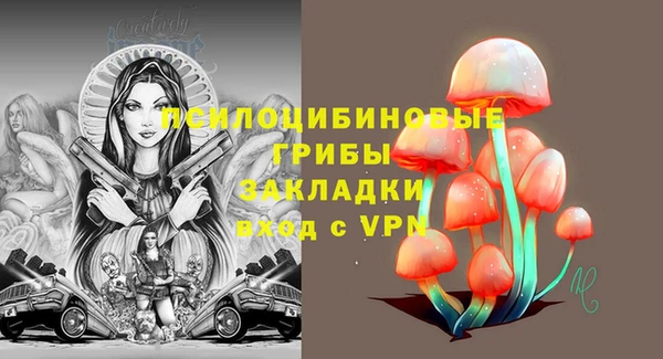 меф Арсеньев