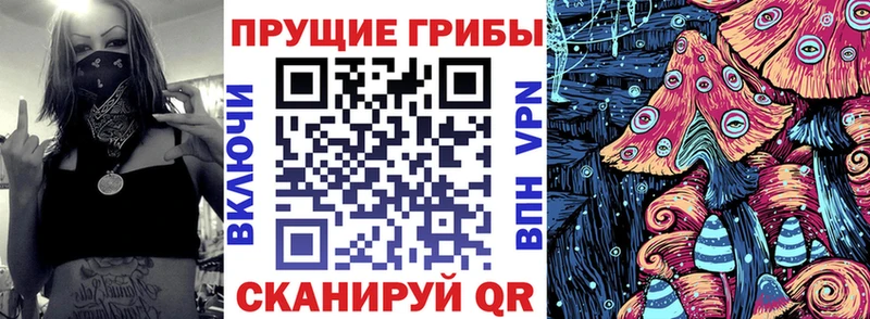 гидра как зайти  купить   Шатура  Псилоцибиновые грибы MAGIC MUSHROOMS 